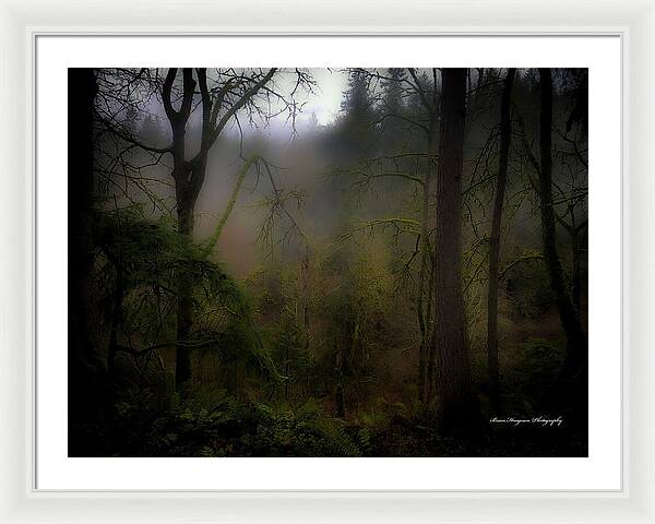 Fog - Framed Print