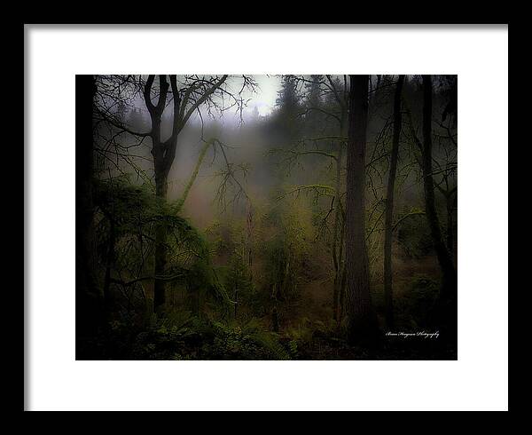Fog - Framed Print