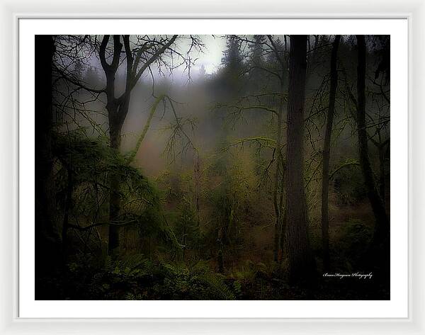 Fog - Framed Print