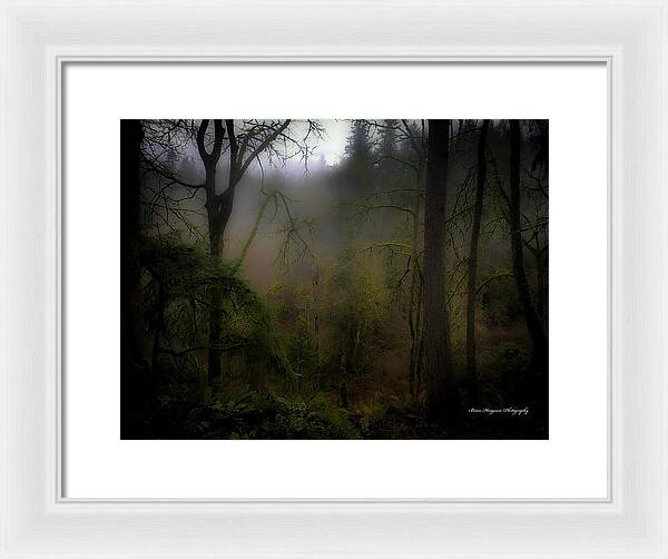 Fog - Framed Print