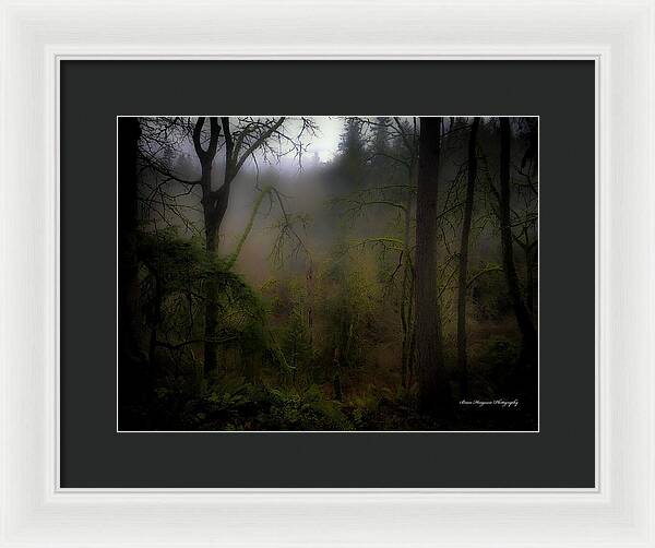 Fog - Framed Print