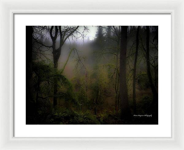Fog - Framed Print