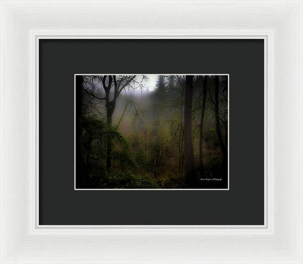 Fog - Framed Print