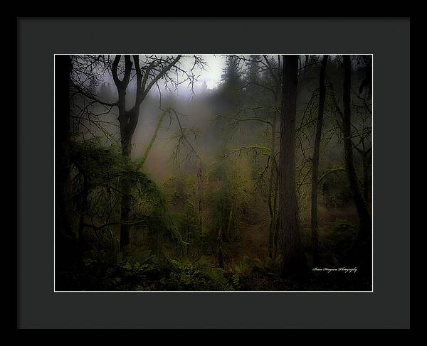 Fog - Framed Print