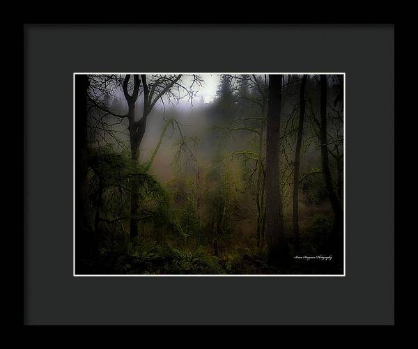 Fog - Framed Print