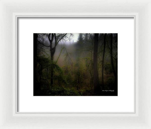 Fog - Framed Print