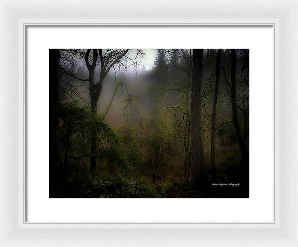 Fog - Framed Print