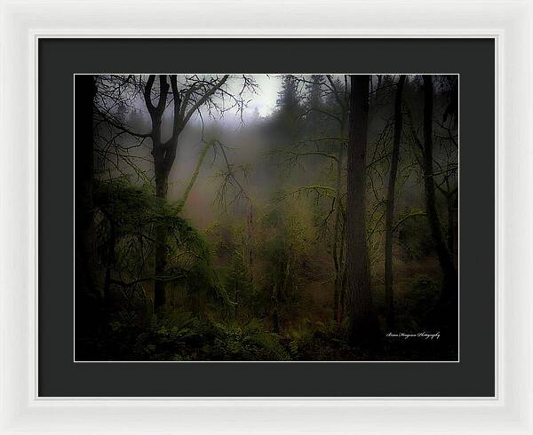 Fog - Framed Print