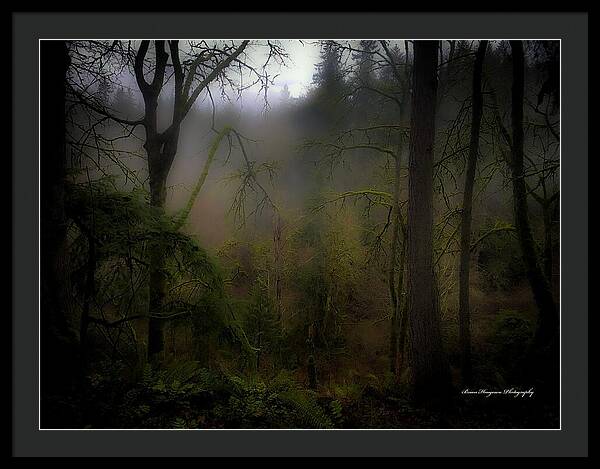 Fog - Framed Print