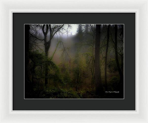 Fog - Framed Print