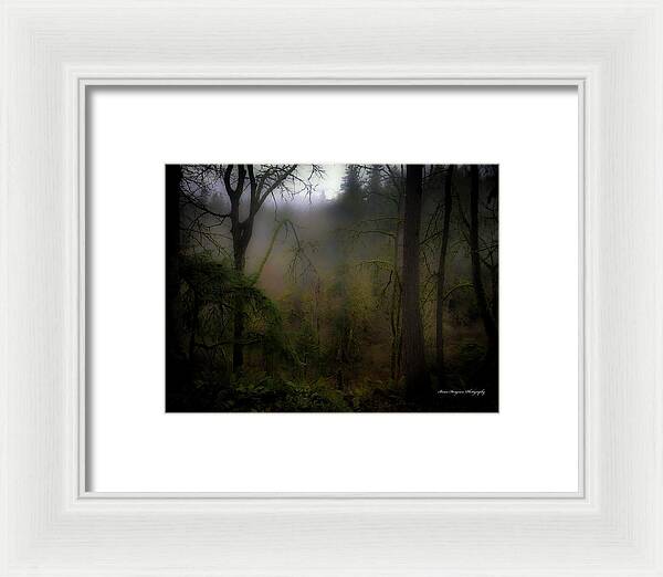 Fog - Framed Print