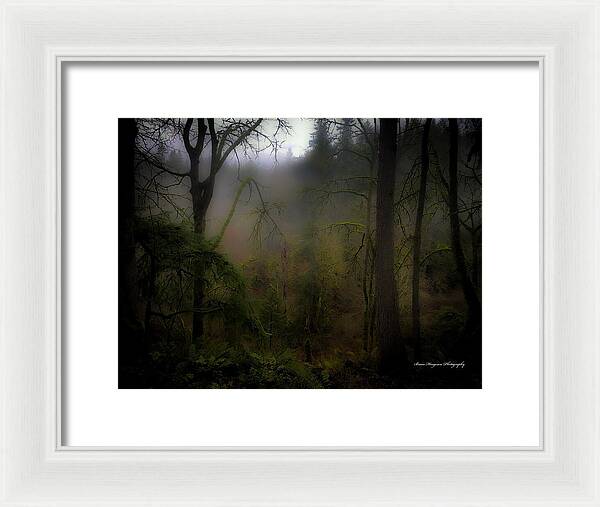 Fog - Framed Print