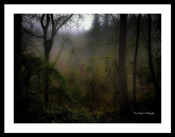 Fog - Framed Print