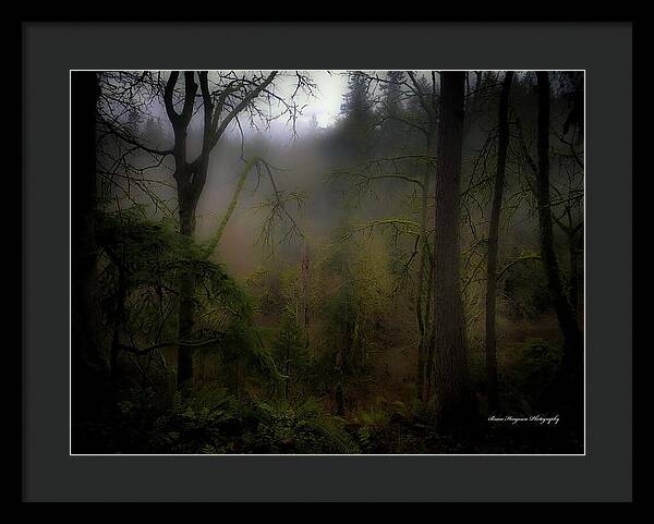 Fog - Framed Print