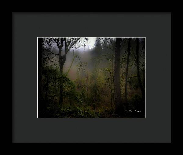 Fog - Framed Print