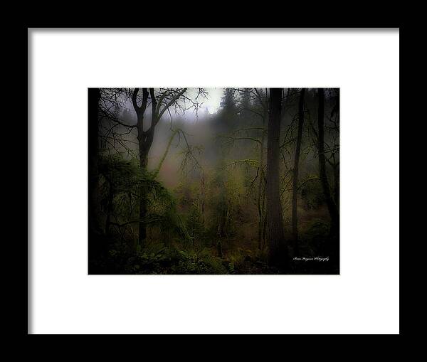 Fog - Framed Print