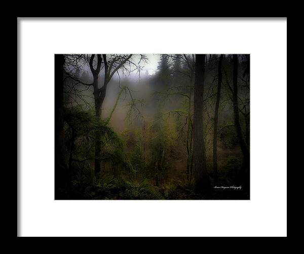 Fog - Framed Print