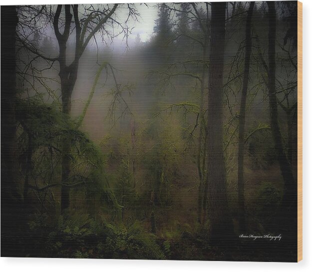 Fog - Wood Print