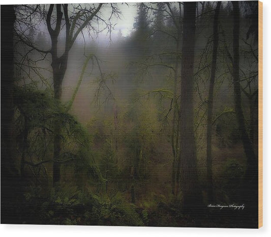 Fog - Wood Print