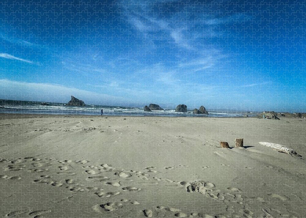 Foot prints in the sand - Puzzle