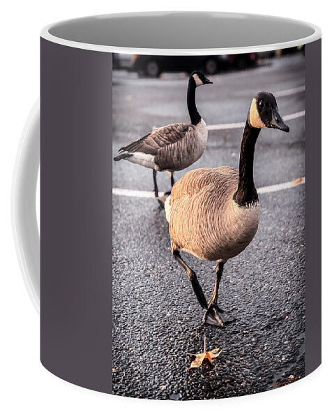 Geese in the parking lot - Mug