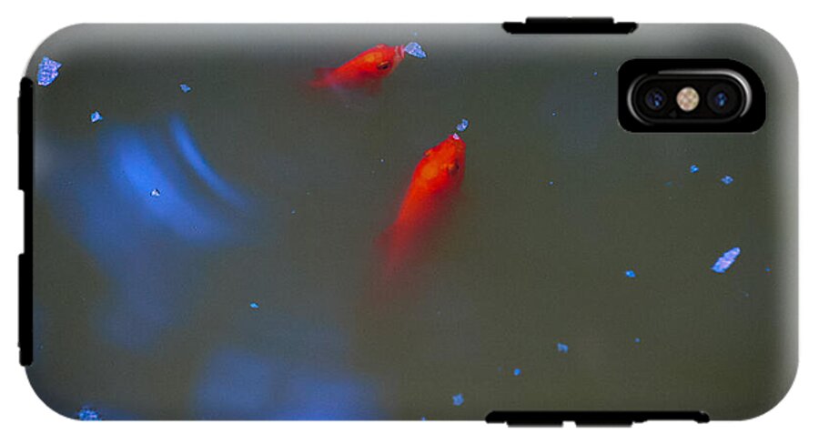 Gold fish eating - Phone Case