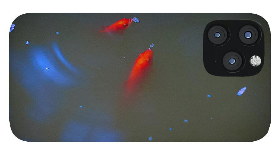 Gold fish eating - Phone Case
