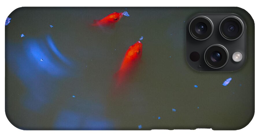 Gold fish eating - Phone Case