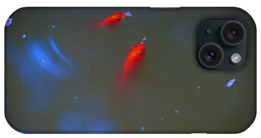 Gold fish eating - Phone Case