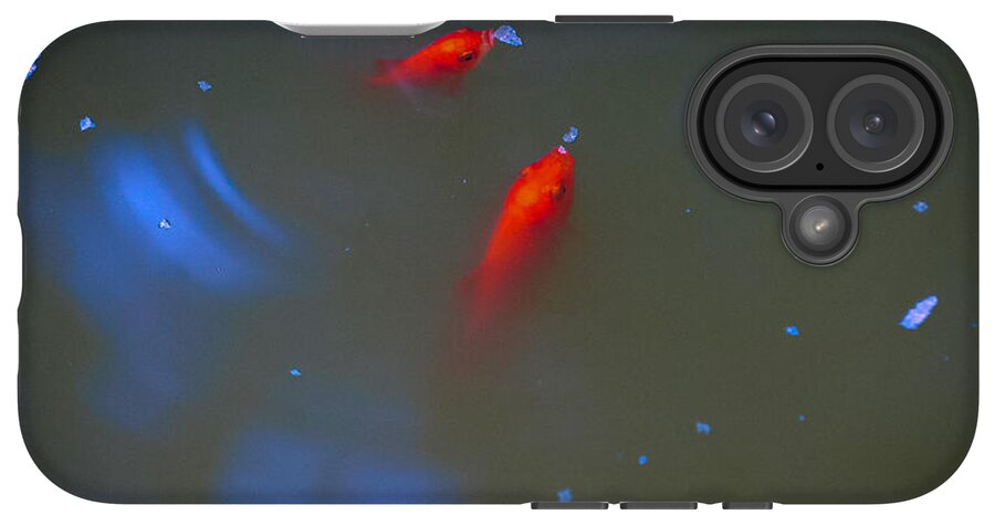 Gold fish eating - Phone Case