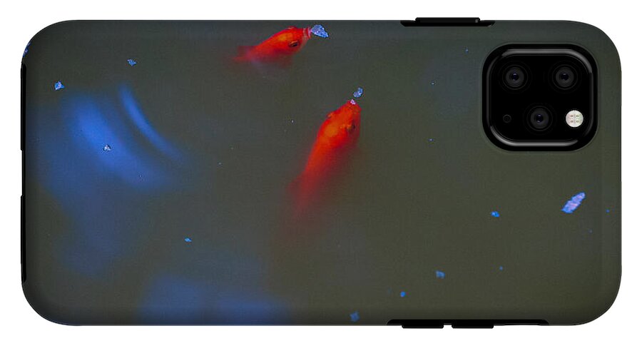 Gold fish eating - Phone Case