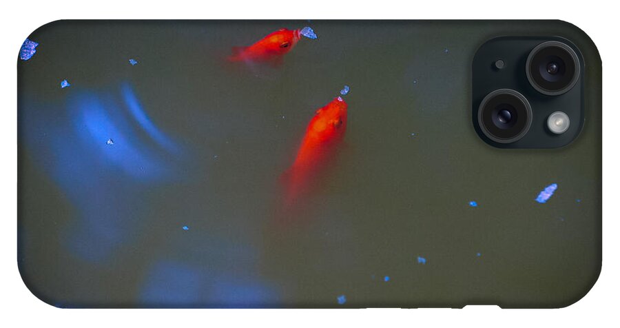 Gold fish eating - Phone Case
