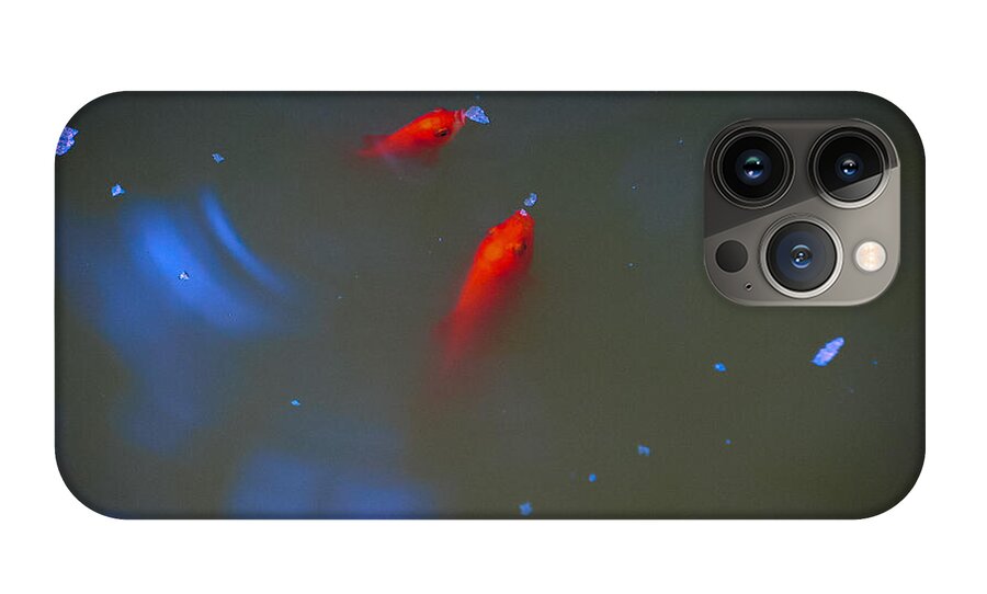 Gold fish eating - Phone Case