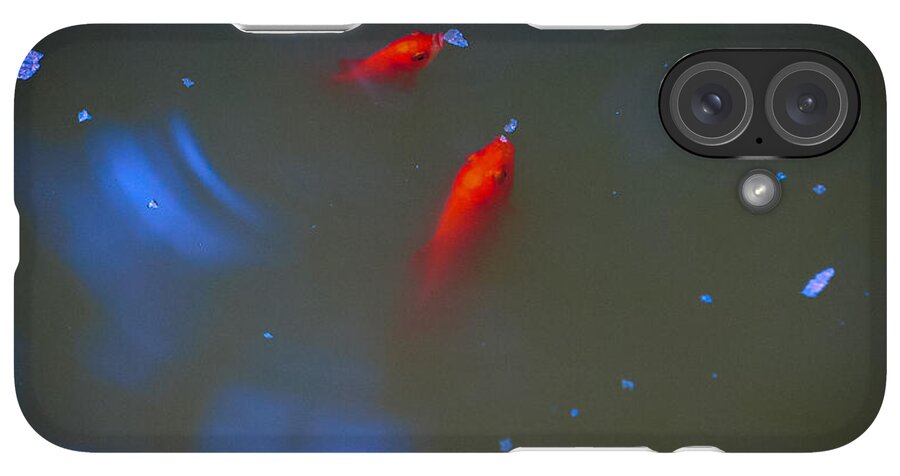 Gold fish eating - Phone Case