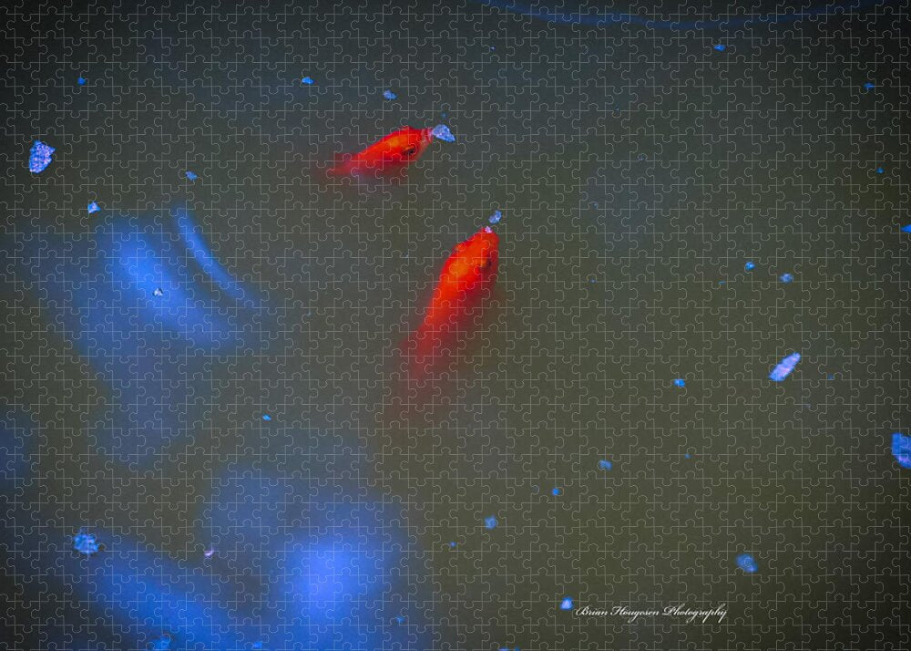Gold fish eating - Puzzle