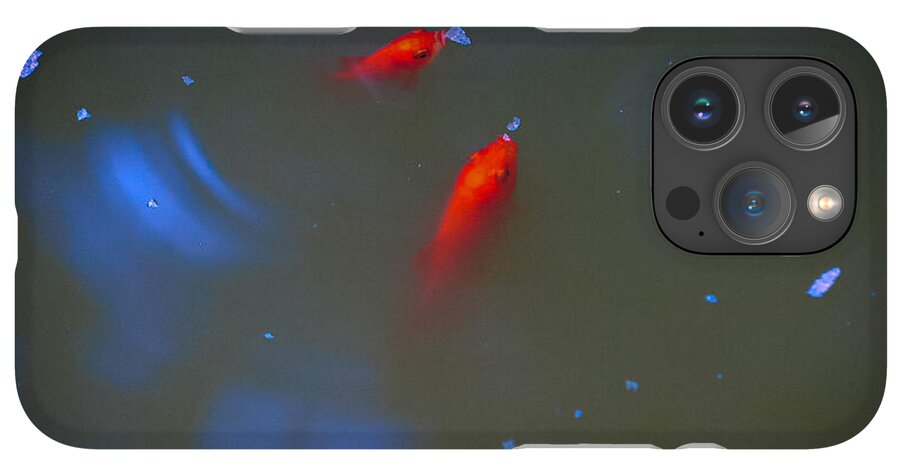 Gold fish eating - Phone Case