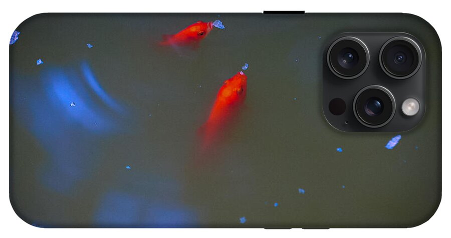 Gold fish eating - Phone Case