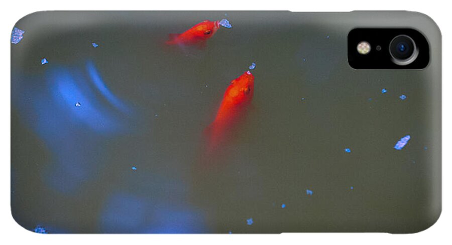 Gold fish eating - Phone Case