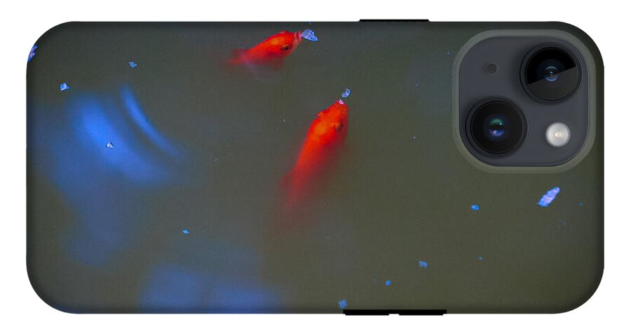 Gold fish eating - Phone Case