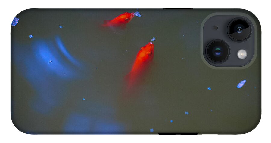 Gold fish eating - Phone Case