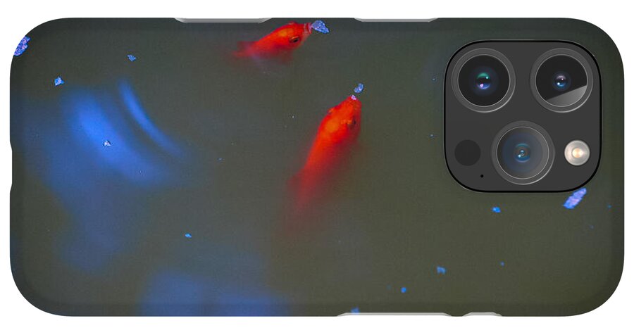 Gold fish eating - Phone Case