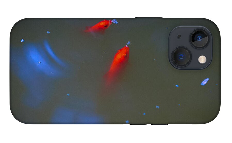 Gold fish eating - Phone Case