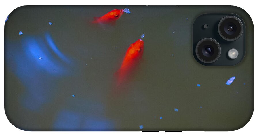 Gold fish eating - Phone Case