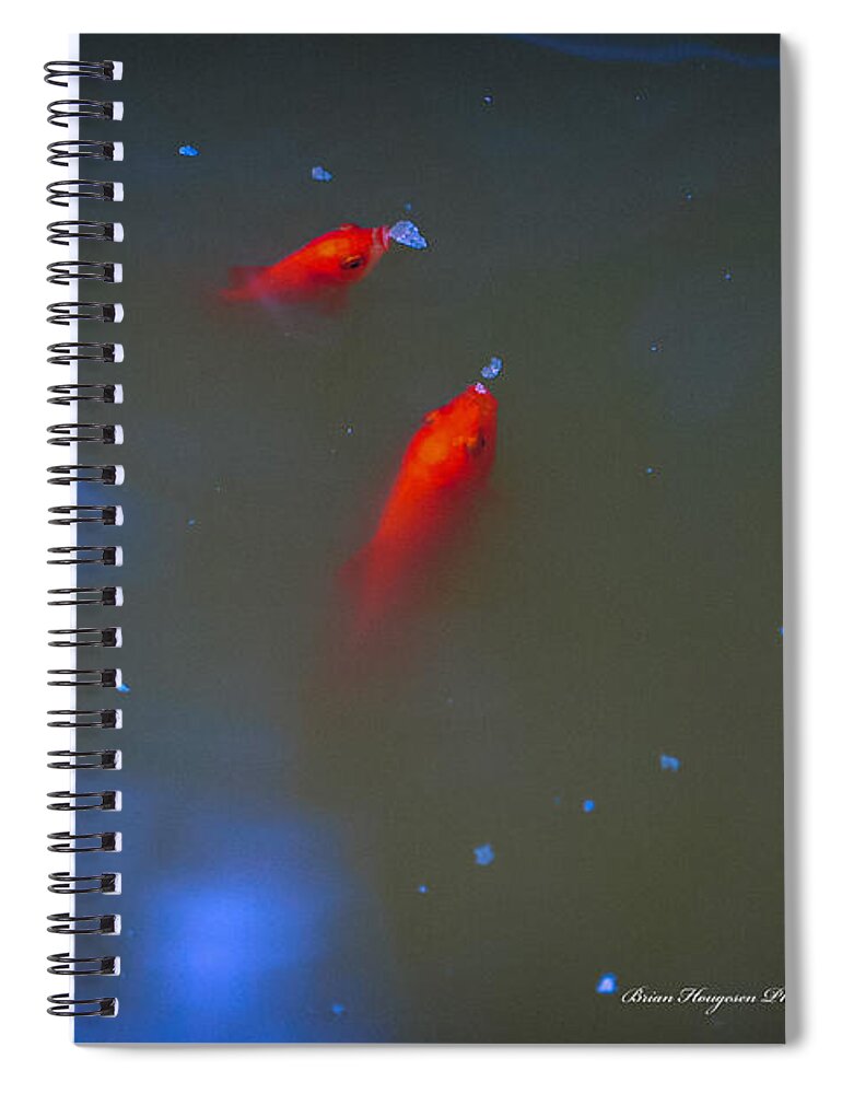 Gold fish eating - Spiral Notebook