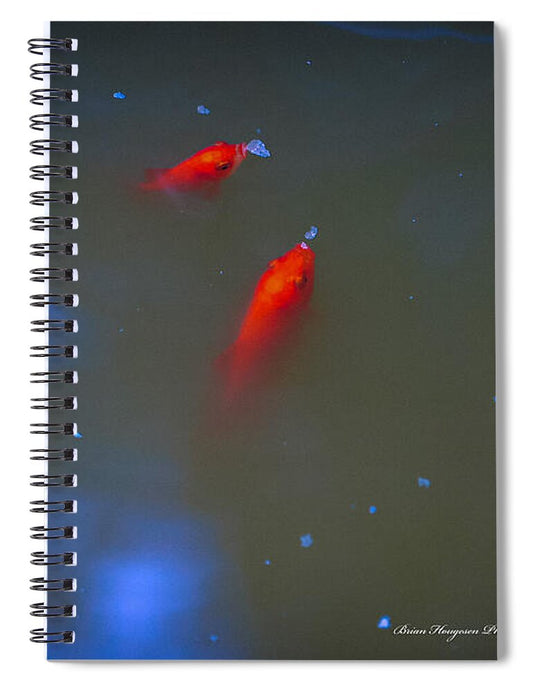 Gold fish eating - Spiral Notebook
