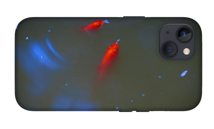 Gold fish eating - Phone Case