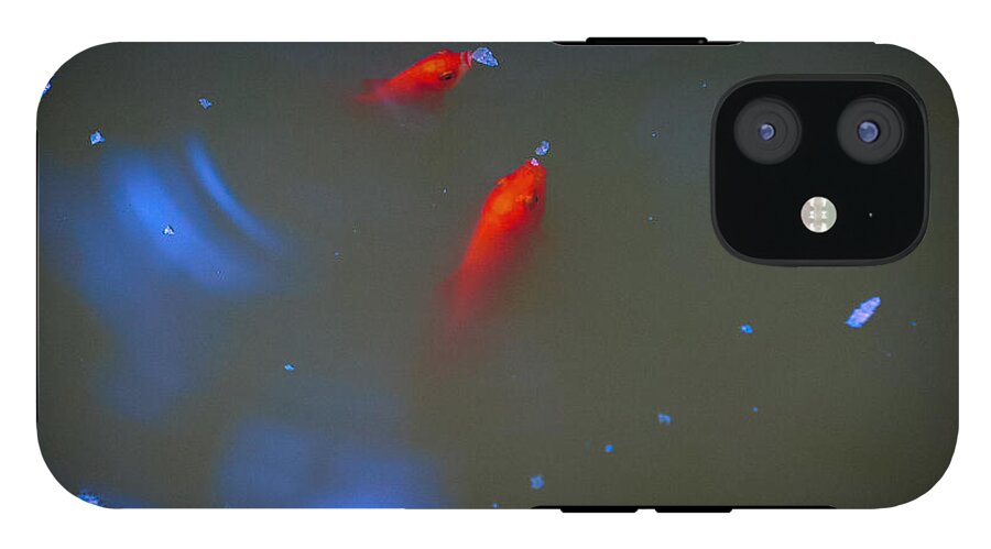 Gold fish eating - Phone Case