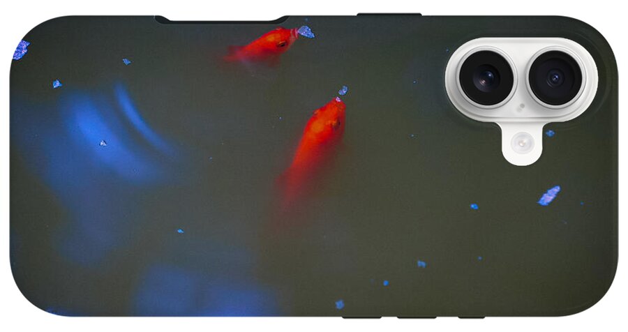 Gold fish eating - Phone Case