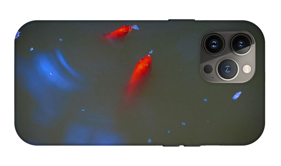 Gold fish eating - Phone Case
