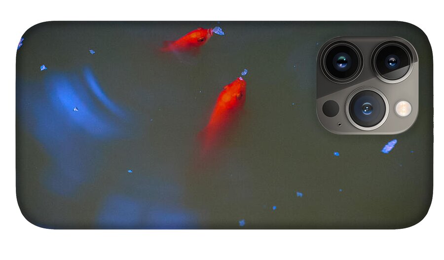 Gold fish eating - Phone Case